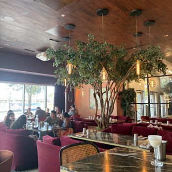 The Lymbar - Inside - Cocktail Bars Near Me - Houston, Texas The Lymbar - Inside - Cocktail Bars Near Me - Houston, Texas