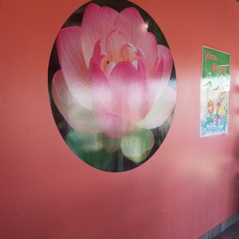 Lotus Boba Tea - Bubble Tea Near Me - Alamogordo, New Mexico Lotus Boba Tea - Bubble Tea Near Me - Alamogordo, New Mexico