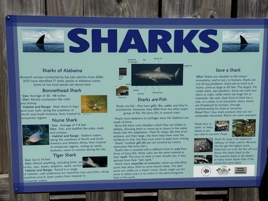 Alabama Aquarium at the Dauphin Island Sea Lab by null