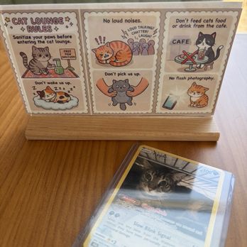 Mochi Kittos - Table signs - Desserts Near Me - Gardena, California Mochi Kittos - Table signs - Desserts Near Me - Gardena, California