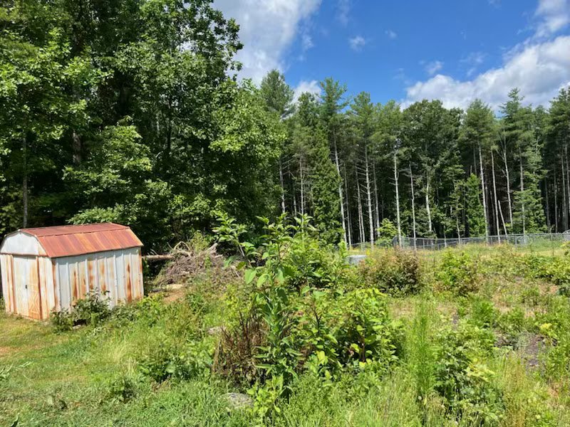 Green Mountain Land Solutions - tree service in Newport, TN