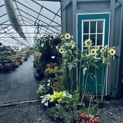 Mack & Twine Farms