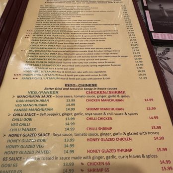 Indian Street Food - Menu - Indian Near Me - Gainesville, Florida