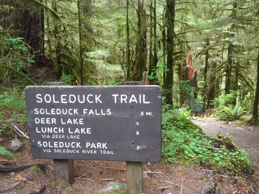 Sol Duc Hot Springs Resort by null