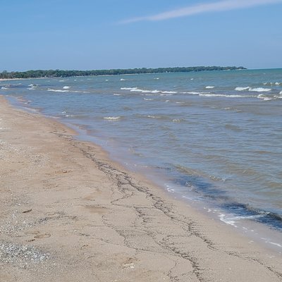 The Pinewood by null