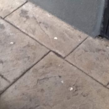 Hampton Inn White House - 2/14/2020 Hotel Entrance  Dirty from Smoke, Ashes and Cigarette Butts - Hotels Near Me - White House, Tennessee