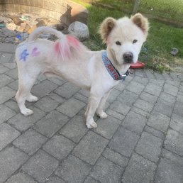 Poor boy looks so silly Poor boy looks so silly