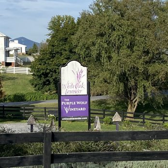 Purple Wolf Vineyard - Wine Tasting Room Near Me - Harrisonburg, Virginia