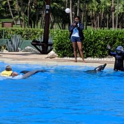 Dolphinaris - Todd hitching a ride with his dolphin pal.