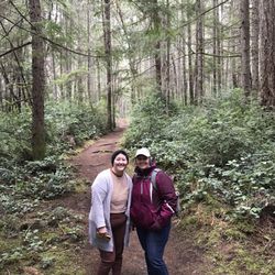 Frog Holler Forest