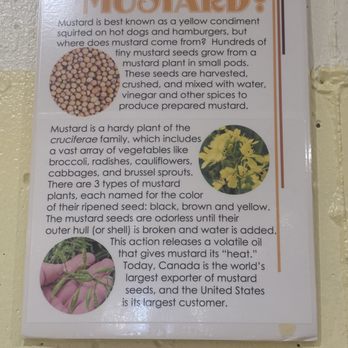 National Mustard Museum - Museums Near Me - Middleton, Wisconsin National Mustard Museum - Museums Near Me - Middleton, Wisconsin