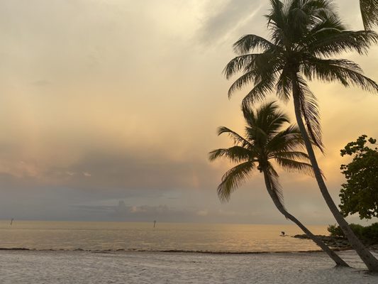Smathers Beach by null