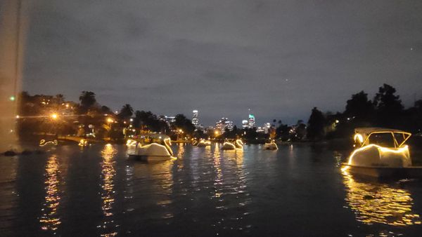 Echo Park Swan Boats by Wheel Fun Rentals by null