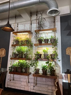Bambino's Urban Pizzeria by null