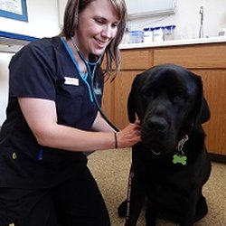 Fairhaven Veterinary Hospital