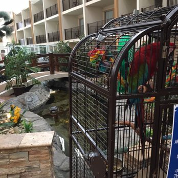 Quality Inn Oceanfront - Hotels Near Me - Ocean City, Maryland