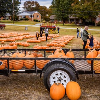 Hawk's Pumpkin Patch - Pumpkin Patches Near Me - Winston-Salem, North Carolina