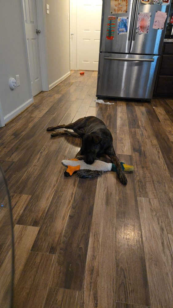 Slide of Saeli Remodeling