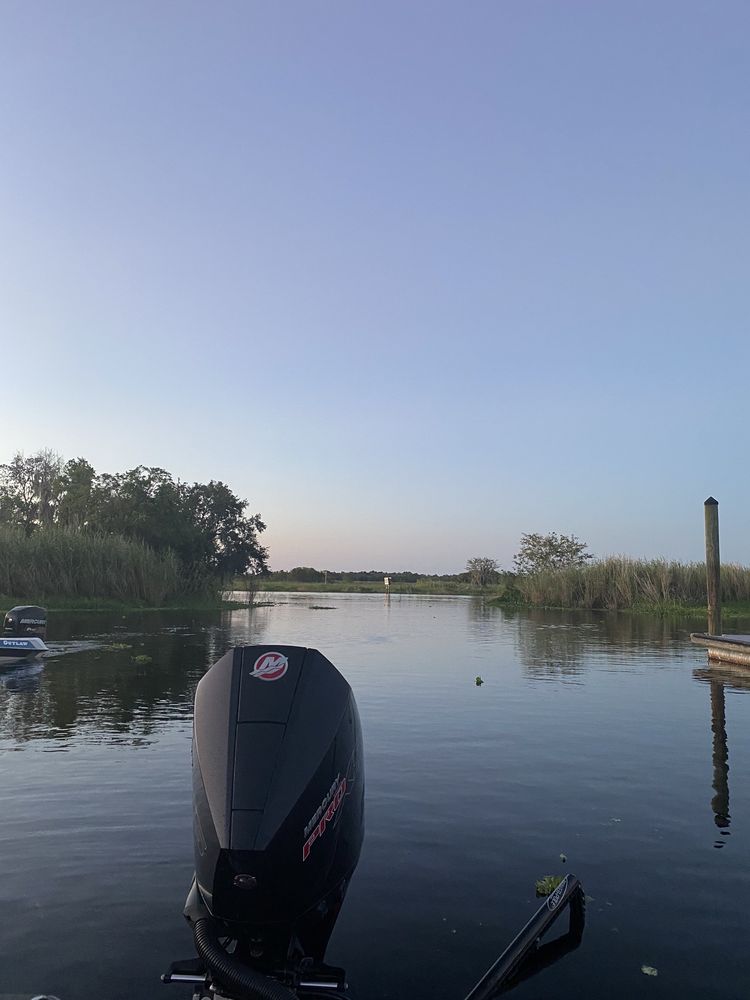 Henry Levy Mullet Park Image