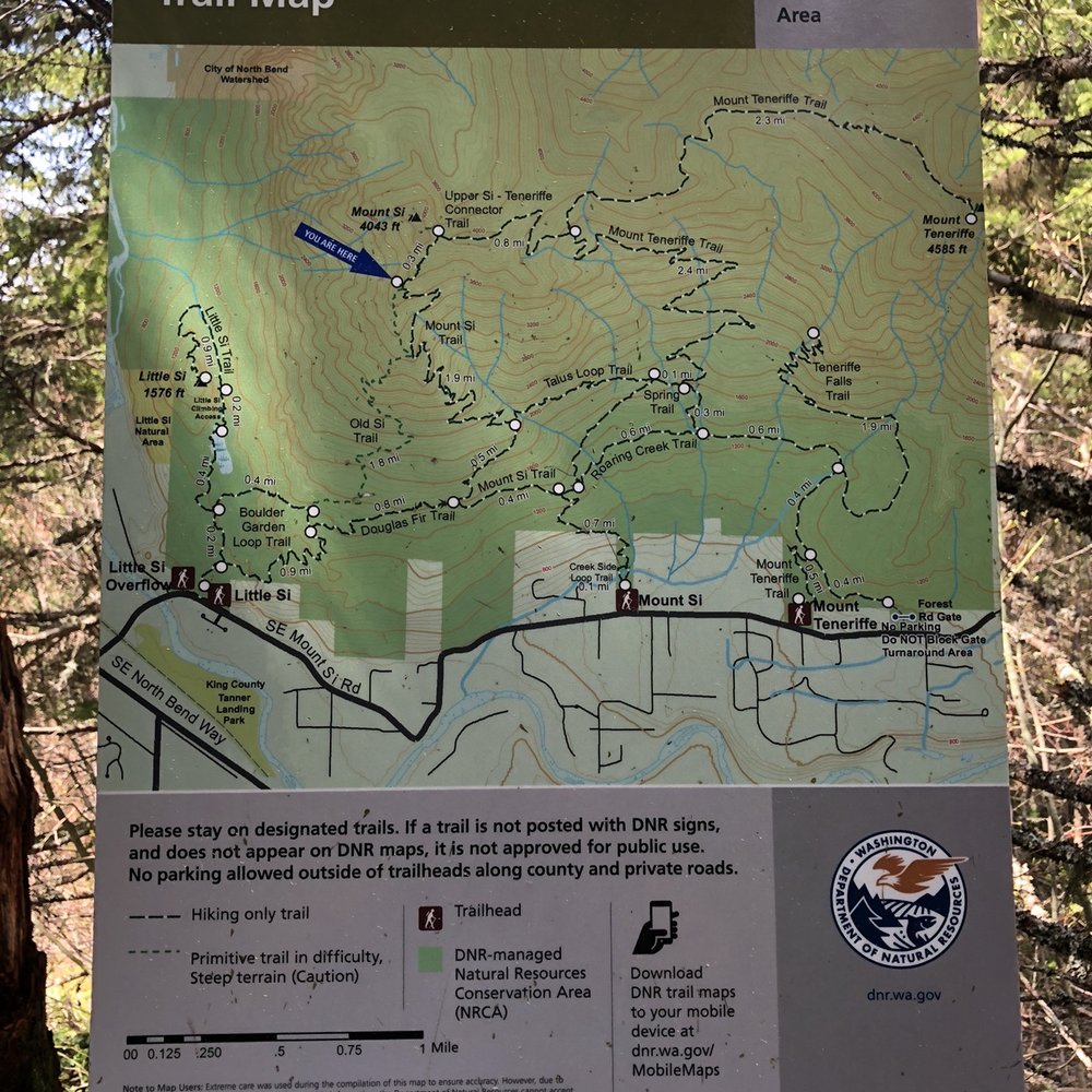 Mount Si - When you see this you are almost to the top. Push through and see it to the end. - Parks Near Me