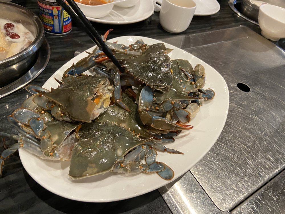 KING TING HOT POT & KOREAN BBQ Updated October 2024 703032 Castor