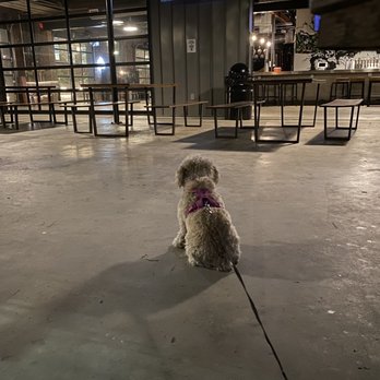Dr. Scofflaw's - Closing time... @tiffhuangry - Breweries Near Me - Atlanta, Georgia