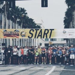 Tampa YMCA Turkey Gobble - Starting line, race day, Annual Tampa YMCA Turkey Gobble 5K 8K 1Mile Race, Downtown Tampa