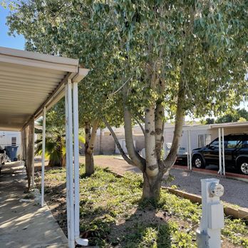 Urgent Care Tree & Lawn - a car parked in the driveway - Tree Services Near Me Urgent Care Tree & Lawn - a car parked in the driveway - Tree Services Near Me