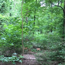Matthew Feldman Nature Preserve
