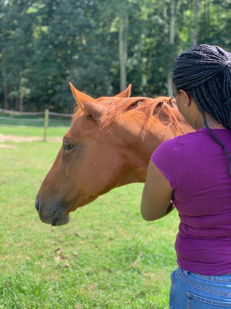 Saving Grace Farm - equestrian in Salisbury, NC