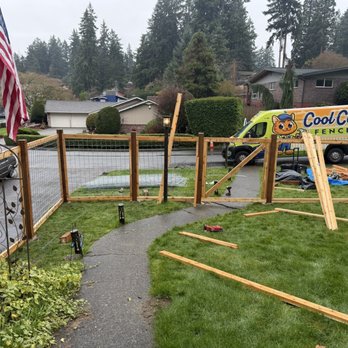 Cool Cat Fence - Almost there! - Fences & Gates Near Me - Tukwila, Washington Cool Cat Fence - Almost there! - Fences & Gates Near Me - Tukwila, Washington