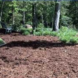Felger's Peat Moss