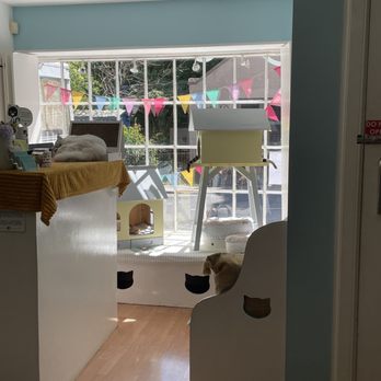 Maison de Moggy - Cafes Near Me - Edinburgh, EDH Maison de Moggy - Cafes Near Me - Edinburgh, EDH