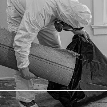 Precision Environmental - Pest Control Near Me - Ventura, California Precision Environmental - Pest Control Near Me - Ventura, California