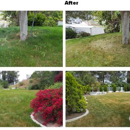 Before and After Before and After