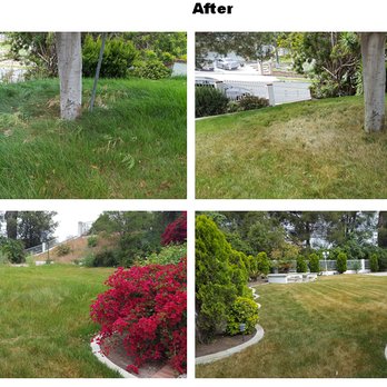 A&S Landscape Maintenance - Before and After - Tree Services Near Me A&S Landscape Maintenance - Before and After - Tree Services Near Me