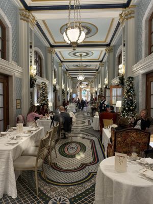 Willard Peacock Alley Tea by null