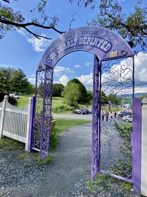 Ben & Jerry's Flavor Graveyard by null
