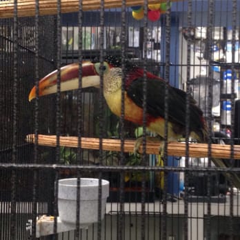 Country Critters - Pet Stores Near Me - Patchogue, New York
