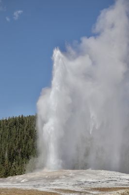 Old Faithful Inn Dining Room by null