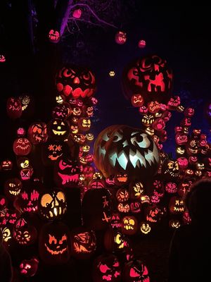 Roger Williams Park Zoo by null