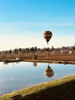 Photo of Napa Valley Aloft Hot Air Balloon Rides - Yountville, CA, US. Reflection of another hot air balloon from Napa Valley Air Loft.