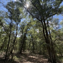 Silver Springs Forest Conservation Area - What you see is what you get. If the weather is good a great hike is in order!