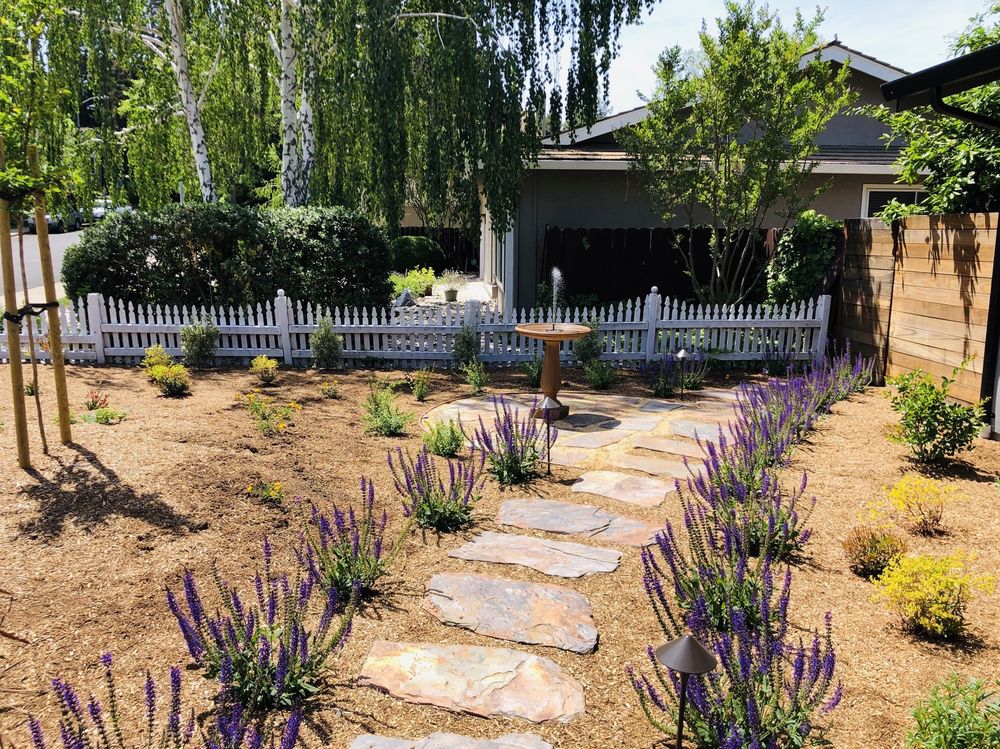 SIMPLY PERFECT GARDENS Updated August 2024 10 Reviews 743 Cheryl