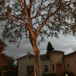 Michael's Tree Service - Elm Tree https://treeservicebakersfield.com/Elm-Tree-before-and-after-/460/