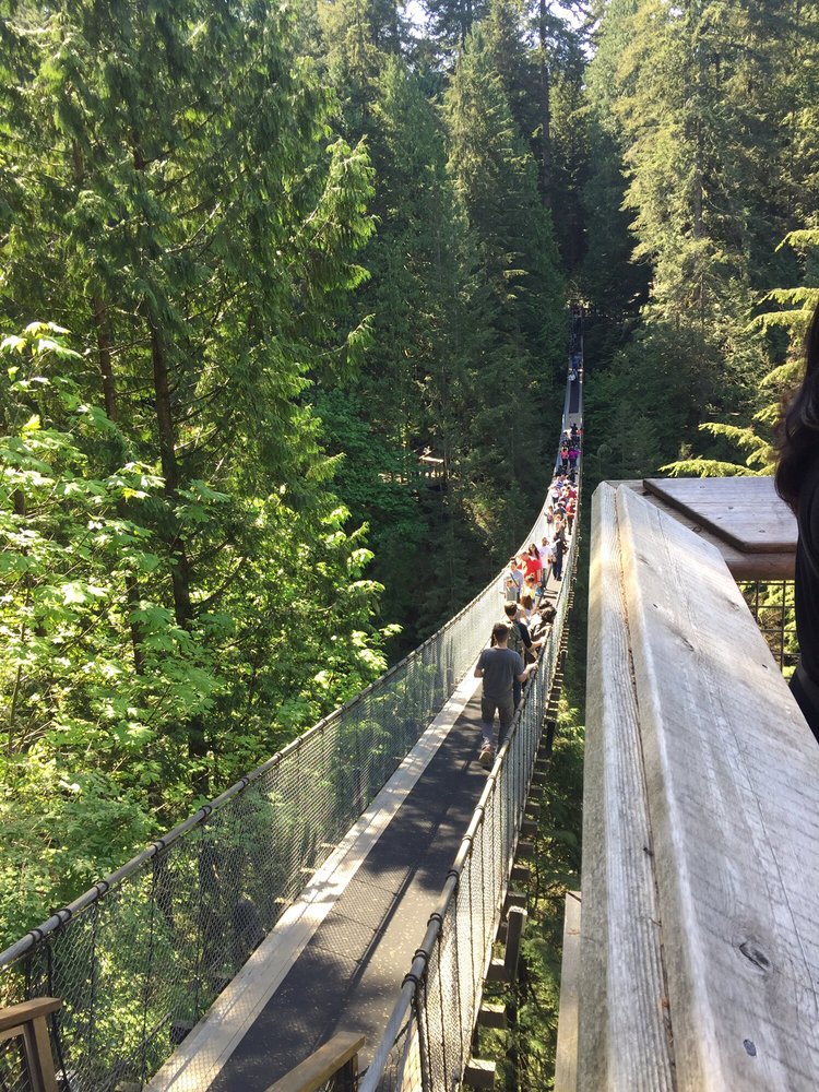 Are Dogs Allowed At Capilano Suspension Bridge