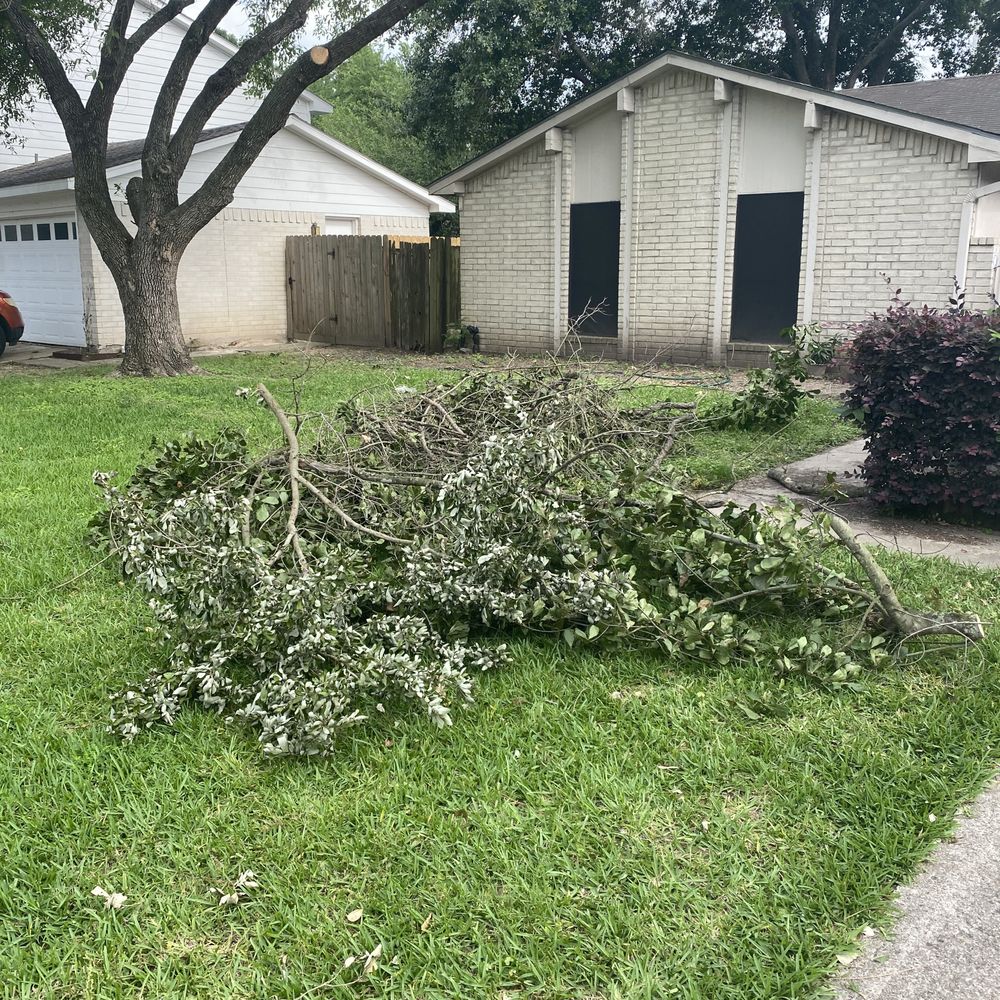 What was left in the neighbors yard that I had to pull into my yard