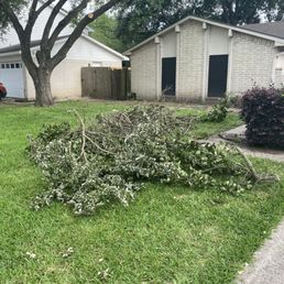 What was left in the neighbors yard that I had to pull into my yard What was left in the neighbors yard that I had to pull into my yard