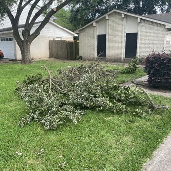Rain or Shine - What was left in the neighbors yard that I had to pull into my yard - Lawn Services Near Me Rain or Shine - What was left in the neighbors yard that I had to pull into my yard - Lawn Services Near Me