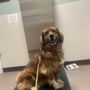 Photo of Rockland Veterinary Care - North Rockland
